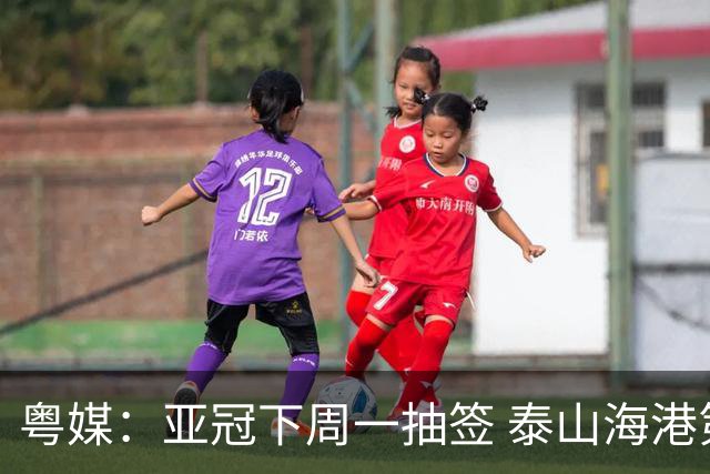 粤媒：亚冠下周一抽签 泰山海港第1档广州第2档